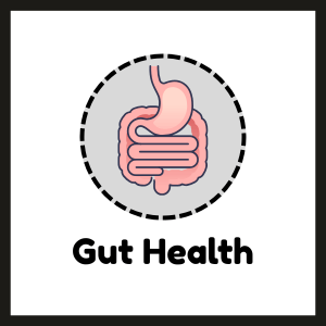 gut health