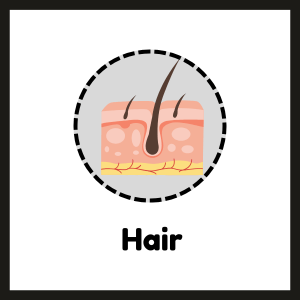 hair supplements