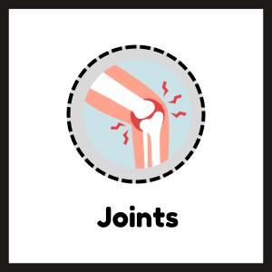 joint supplements