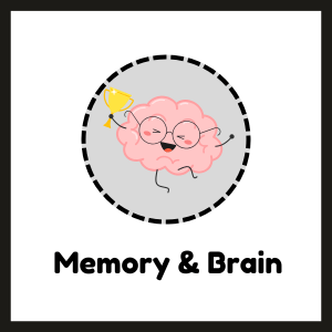 memory and brain supplements