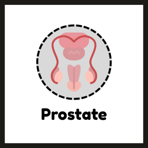 prostate