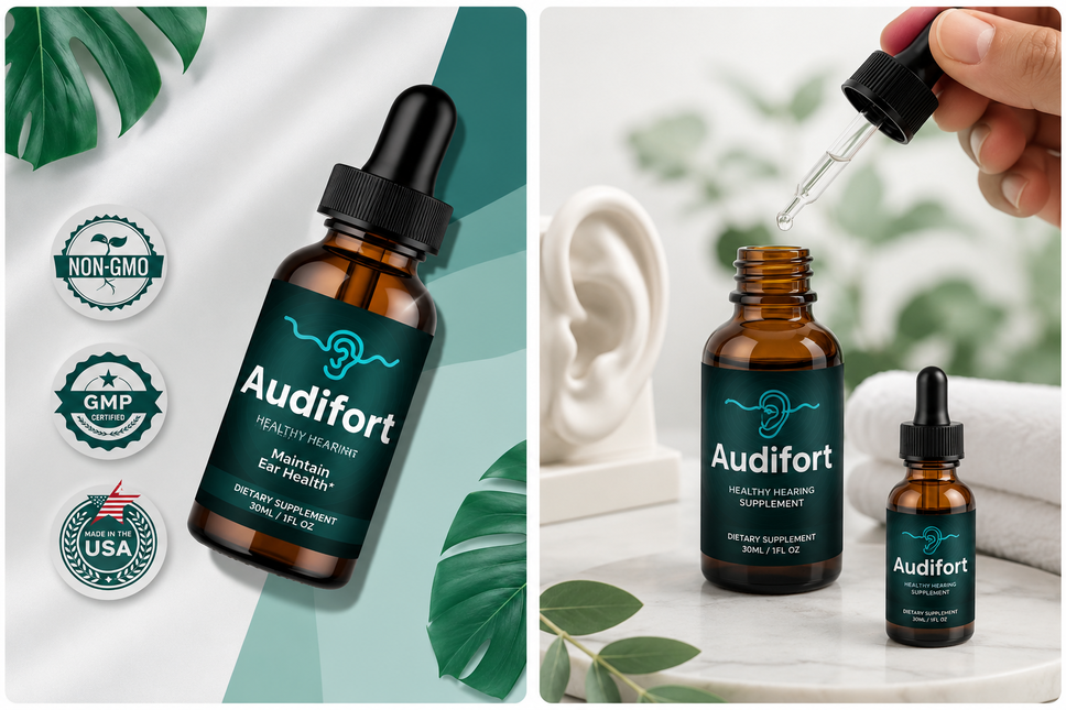How AudiFort Works Diagram